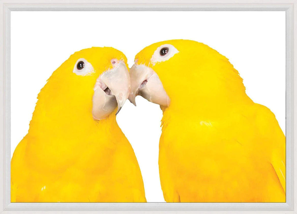 Animals 4 Parrots Wall Art with Frame - Photography - The Well Appointed House