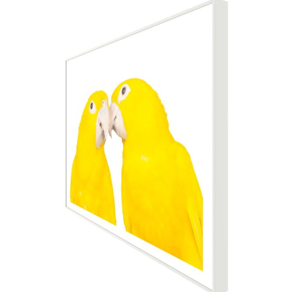 Animals 4 Parrots Wall Art with Frame - Photography - The Well Appointed House