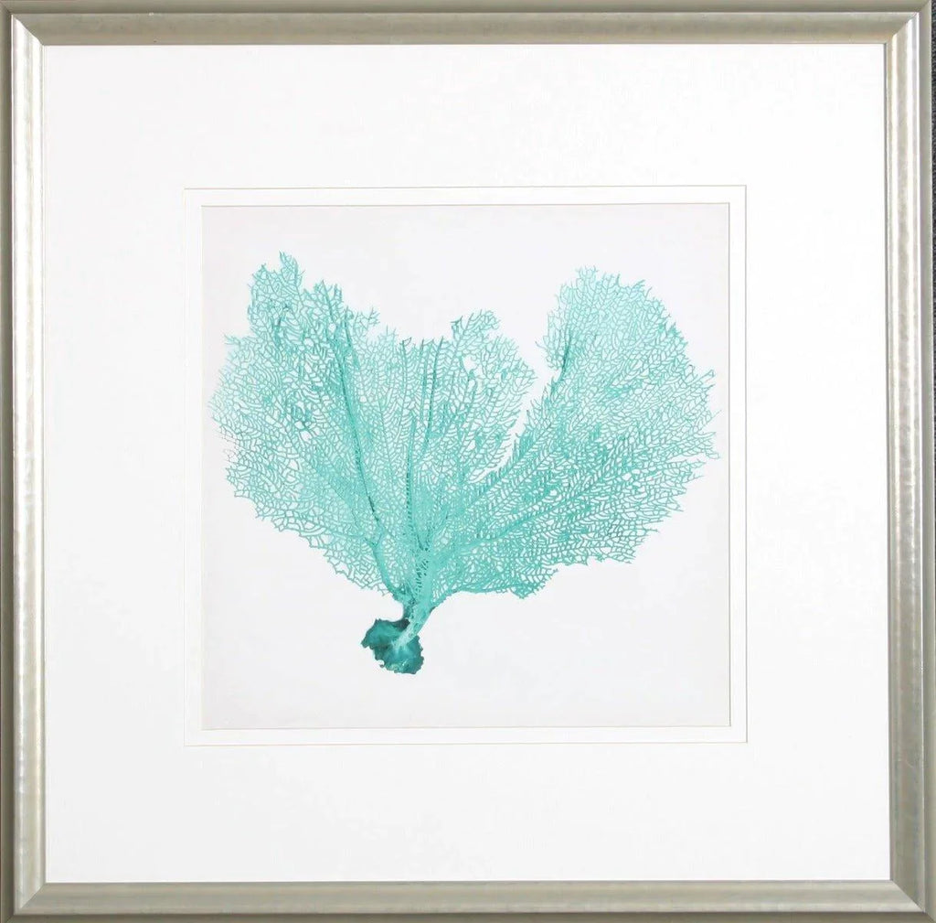 Aqua Sea Fan VI Lithograph Wall Art in Silver Frame - Paintings - The Well Appointed House