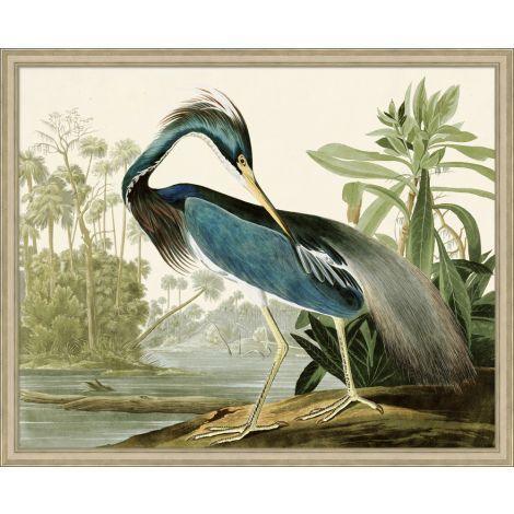 Audubons Blue Heron 1 Framed Wall Art - Paintings - The Well Appointed House