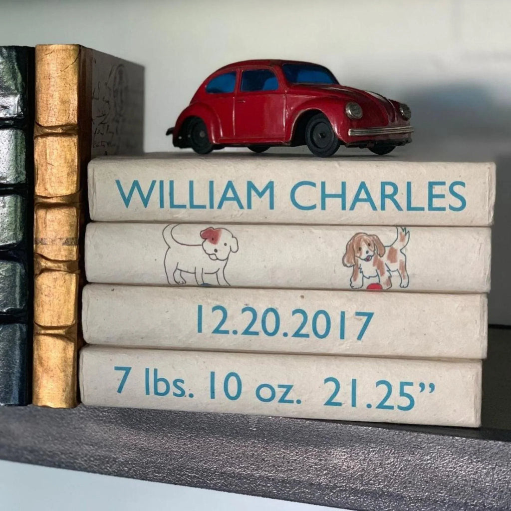 Baby Boy Birth Announcement Decorative Book Set - Books - The Well Appointed House