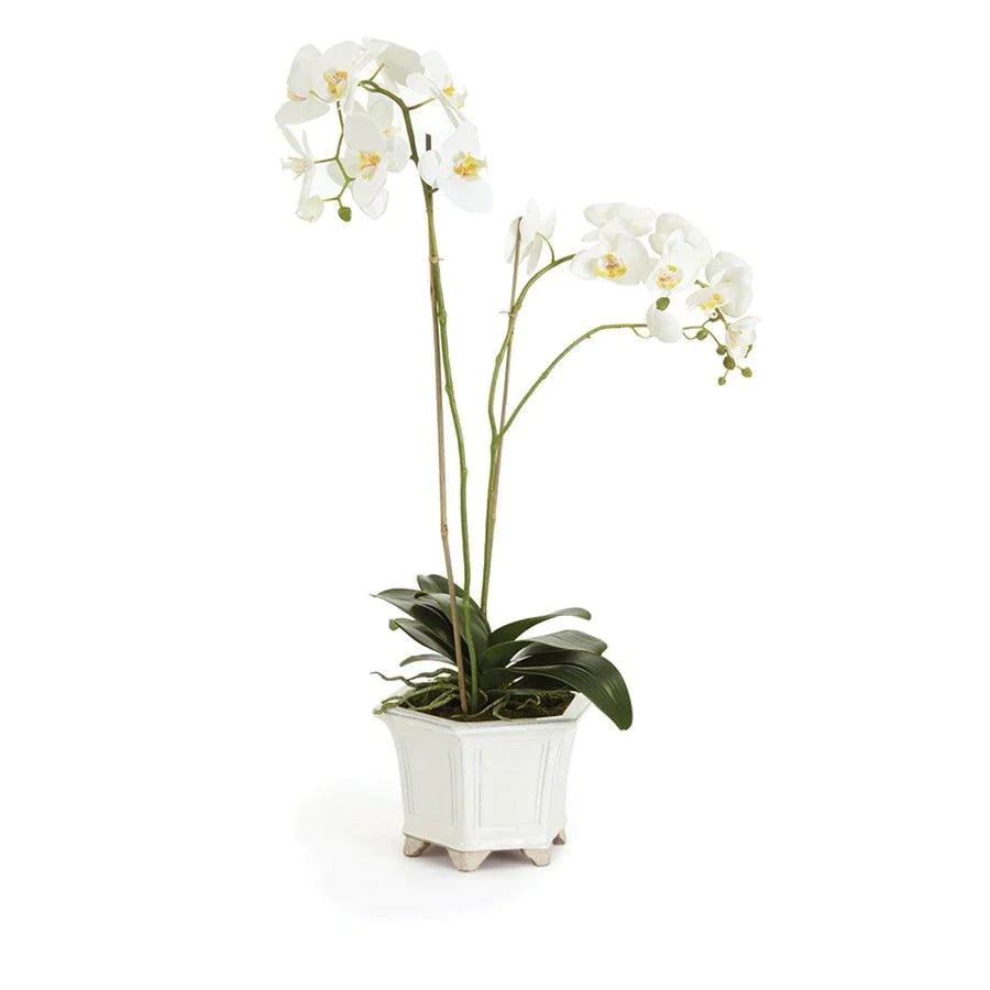 Barclay Butera White Phalaenopsis Faux Orchid in Ceramic Pot - Florals & Greenery - The Well Appointed House