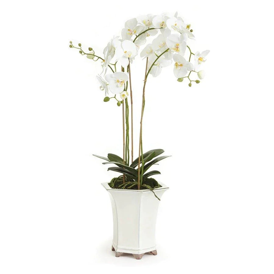Barclay Butera White Phalaenopsis Faux Orchid in White Ceramic Pot - Florals & Greenery - The Well Appointed House