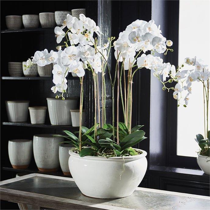 Barclay Butera White Phalaenopsis in Ceramic Bowl - Florals & Greenery - The Well Appointed House