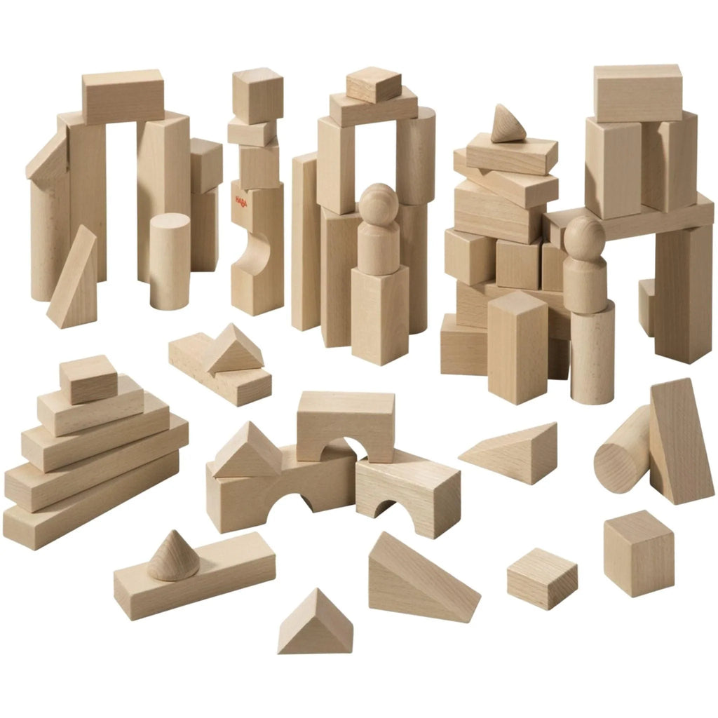 Basic Building Blocks Large Starter Set - Little Loves Learning Toys - The Well Appointed House