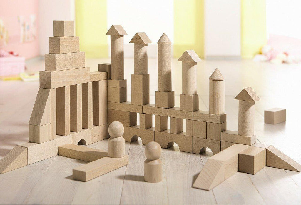 Basic Building Blocks Large Starter Set - Little Loves Learning Toys - The Well Appointed House
