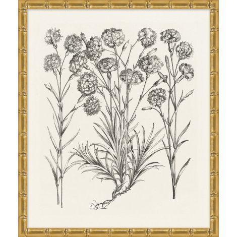 Bessler Black & White Neutral Floral Study 13 Print in Gold Frame - Paintings - The Well Appointed House