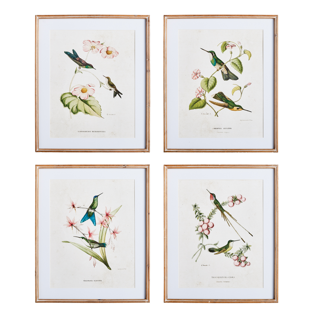 Set of Four Framed Hummingbirds With Blush Blooms Prints Wall Art - The Well Appointed House