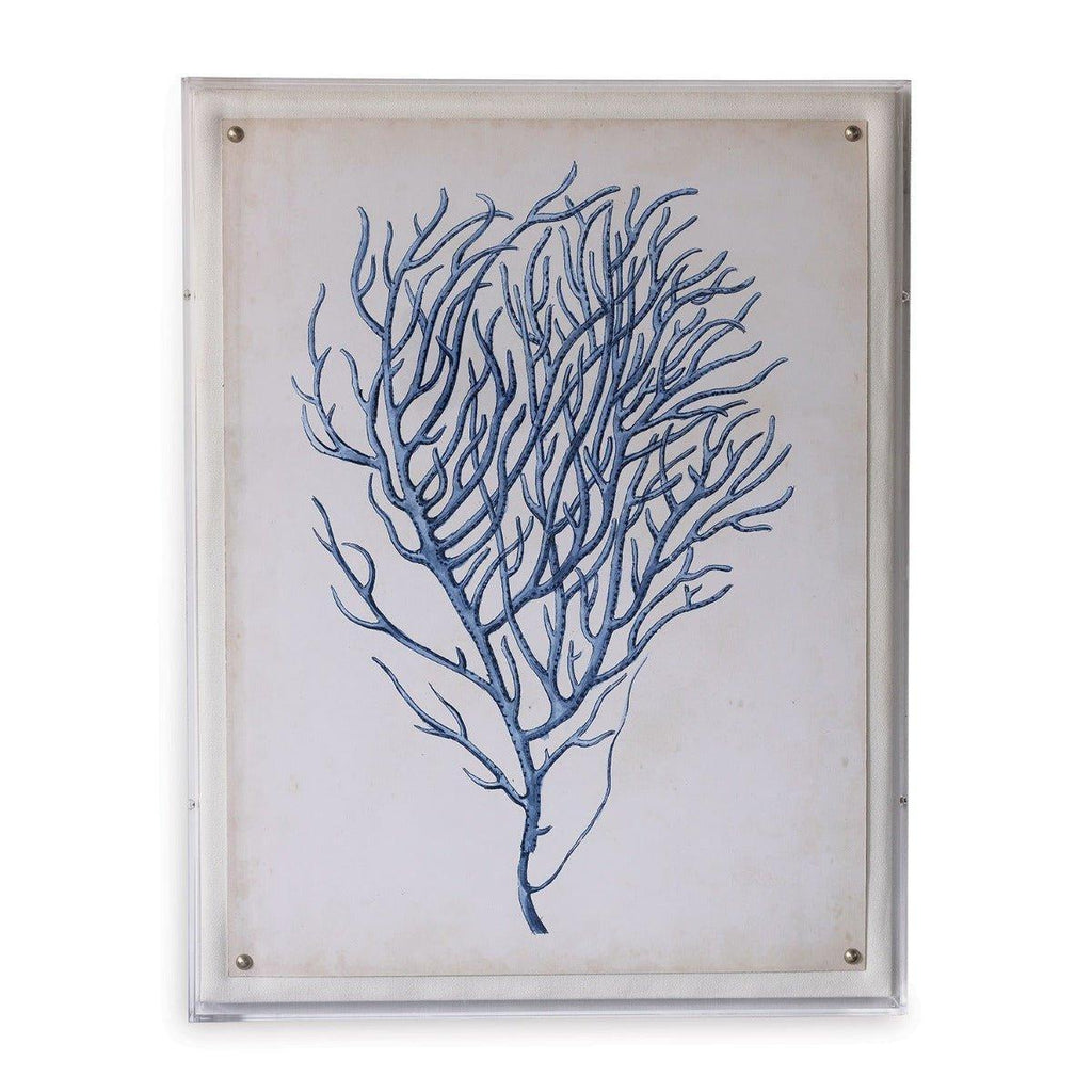 Blue Coral I Giclee Print in Lucite Shadow Box - Framed Objects, Maps & Posters - The Well Appointed House