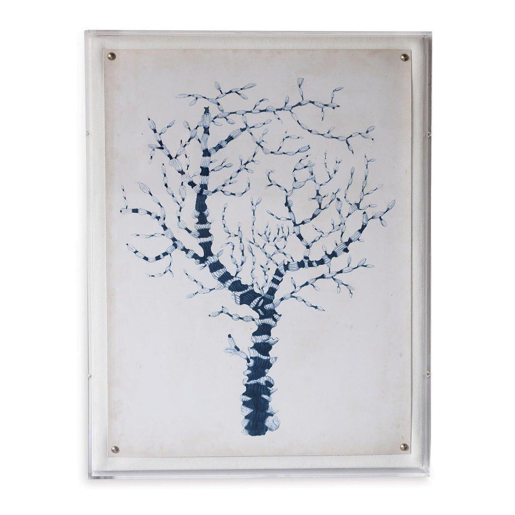 Blue Coral II Giclee Print in Lucite Shadow Box - Framed Objects, Maps & Posters - The Well Appointed House
