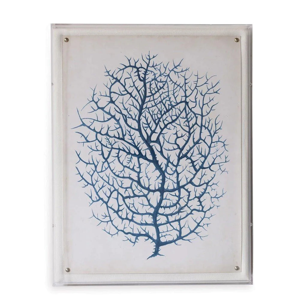 Blue Coral III Giclee Print in Lucite Shadow Box - Framed Objects, Maps & Posters - The Well Appointed House