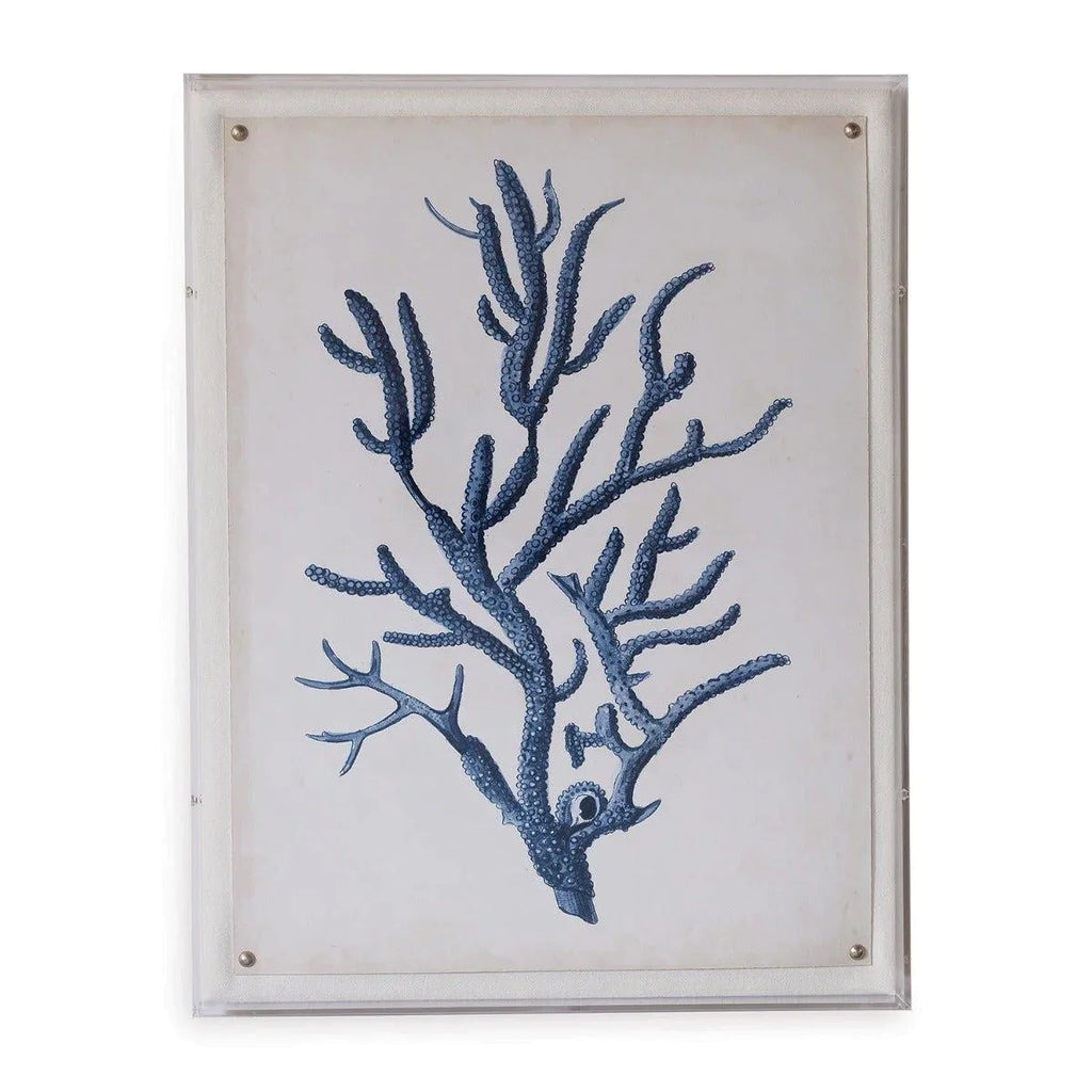 Blue Coral IV Giclee Print in Lucite Shadow Box - Framed Objects, Maps & Posters - The Well Appointed House