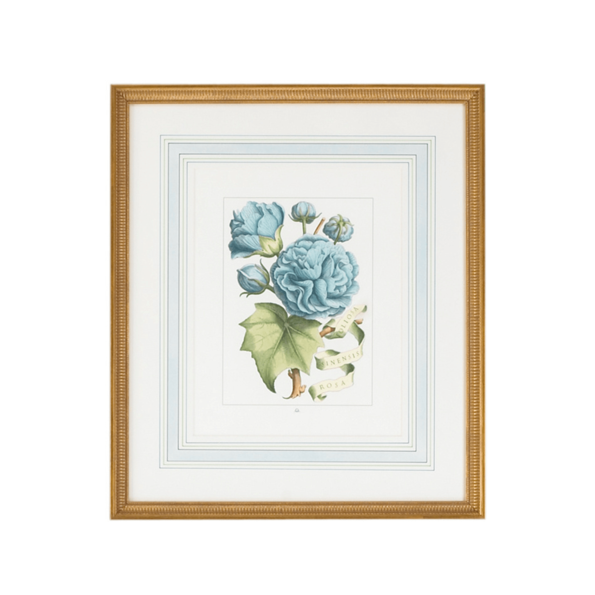 blue-flowers-with-ribbon-