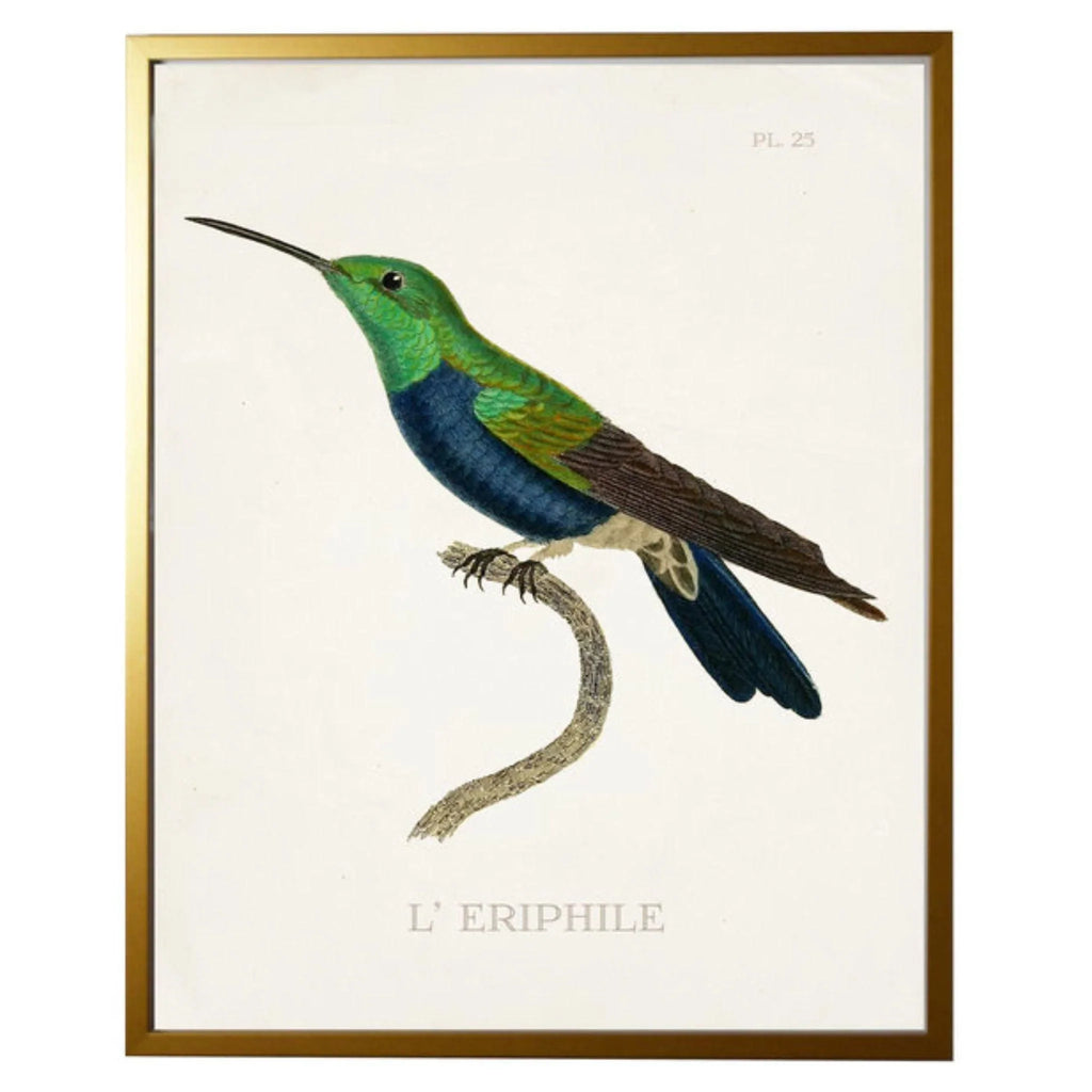 Blue Hummingbird - Paintings - The Well Appointed House