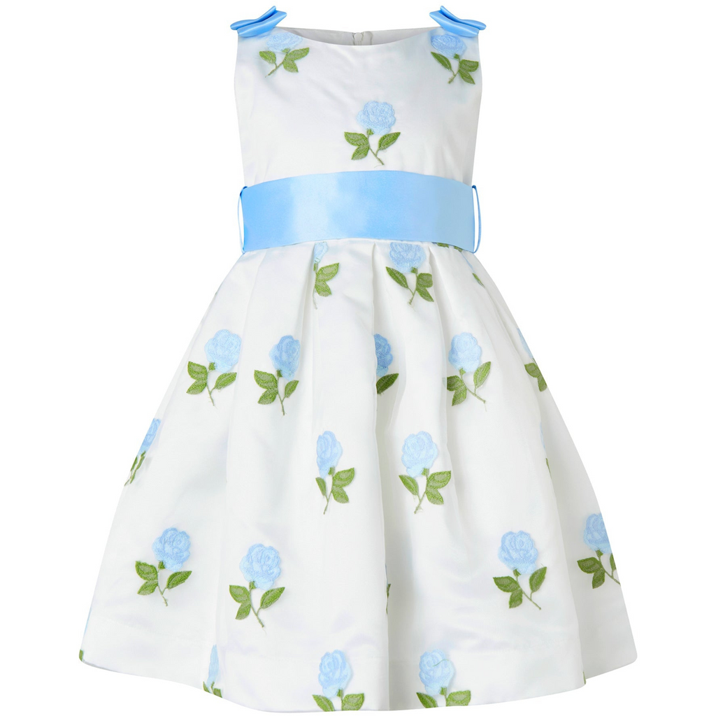 Blue Rose Embroidered Organza Dress - The Well Appointed House 