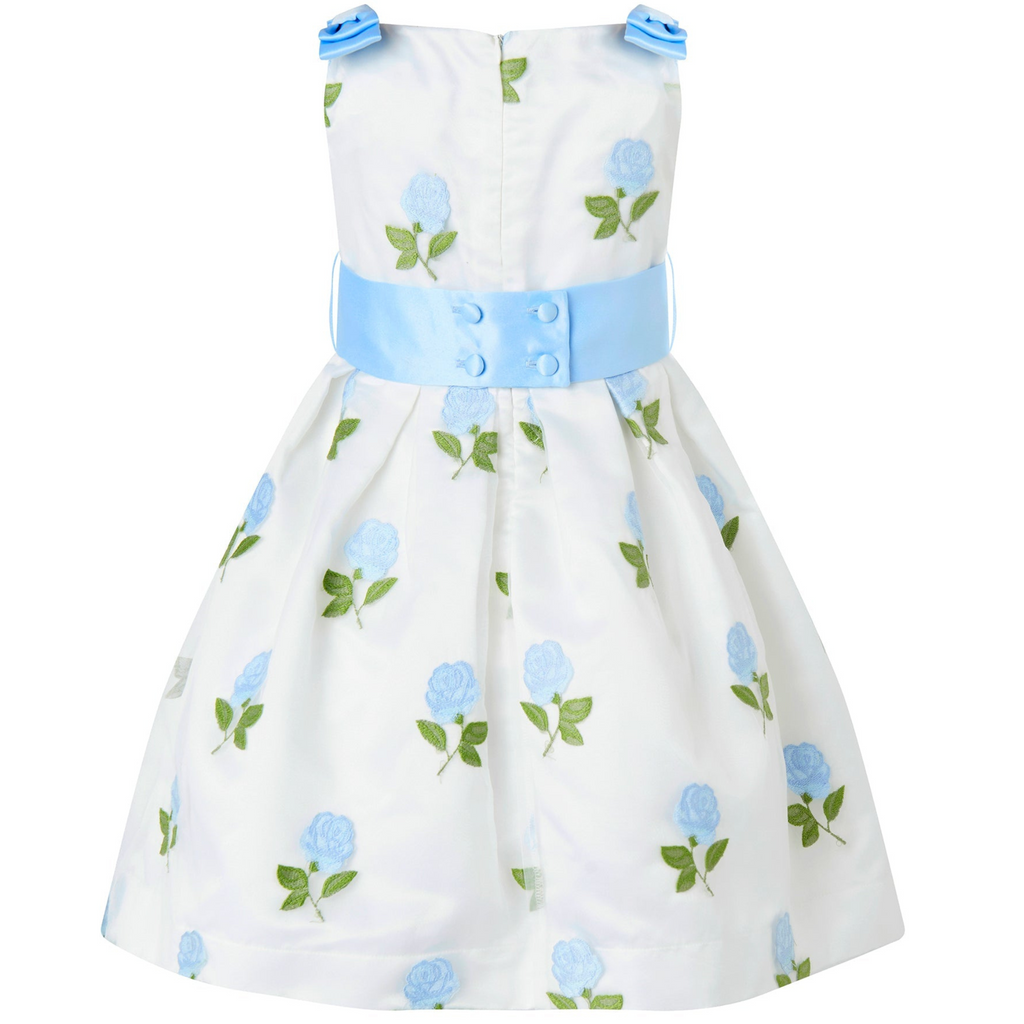 Blue Rose Embroidered Organza Dress - The Well Appointed House 