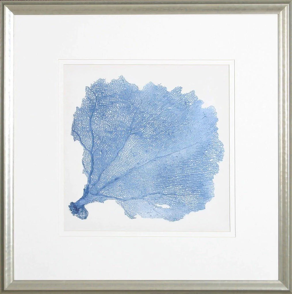 Blue Sea Fan V Lithograph Wall Art in Silver Frame - Paintings - The Well Appointed House