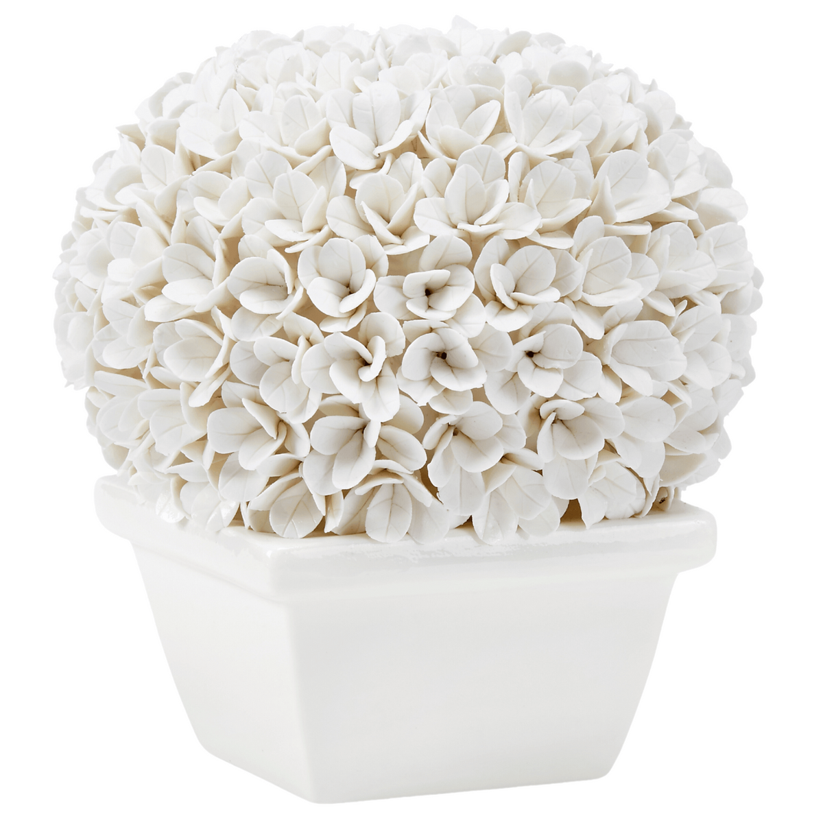 Boston Round Boxwood Topiary in Blanc de China – The Well Appointed House