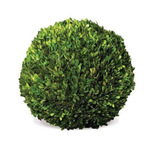 Boxwood Decorative Ball - Florals & Greenery - The Well Appointed House