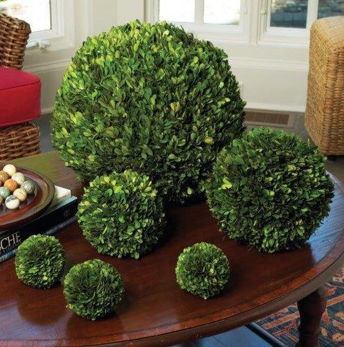 Boxwood Decorative Ball - Florals & Greenery - The Well Appointed House
