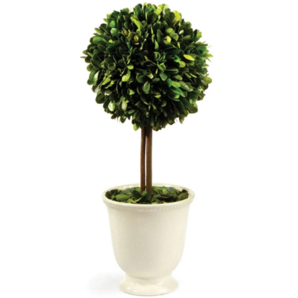 Boxwood Topiary in Beaded White Pot - Florals & Greenery - The Well Appointed House