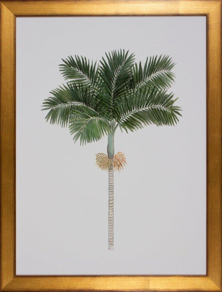 Bungalow Palm Tree Giclee Gold Framed Wall Art - Paintings - The Well Appointed House