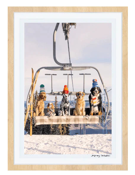 Chairlift Pups Vertical Print by Gray Malin - Photography - The Well Appointed House
