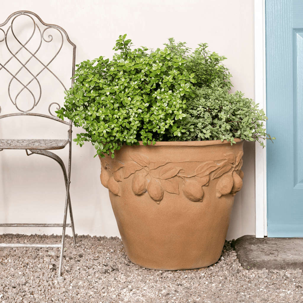 Citrus Lemon Design Garden Pot in Terracotta Finish - Outdoor Planters - The Well Appointed House