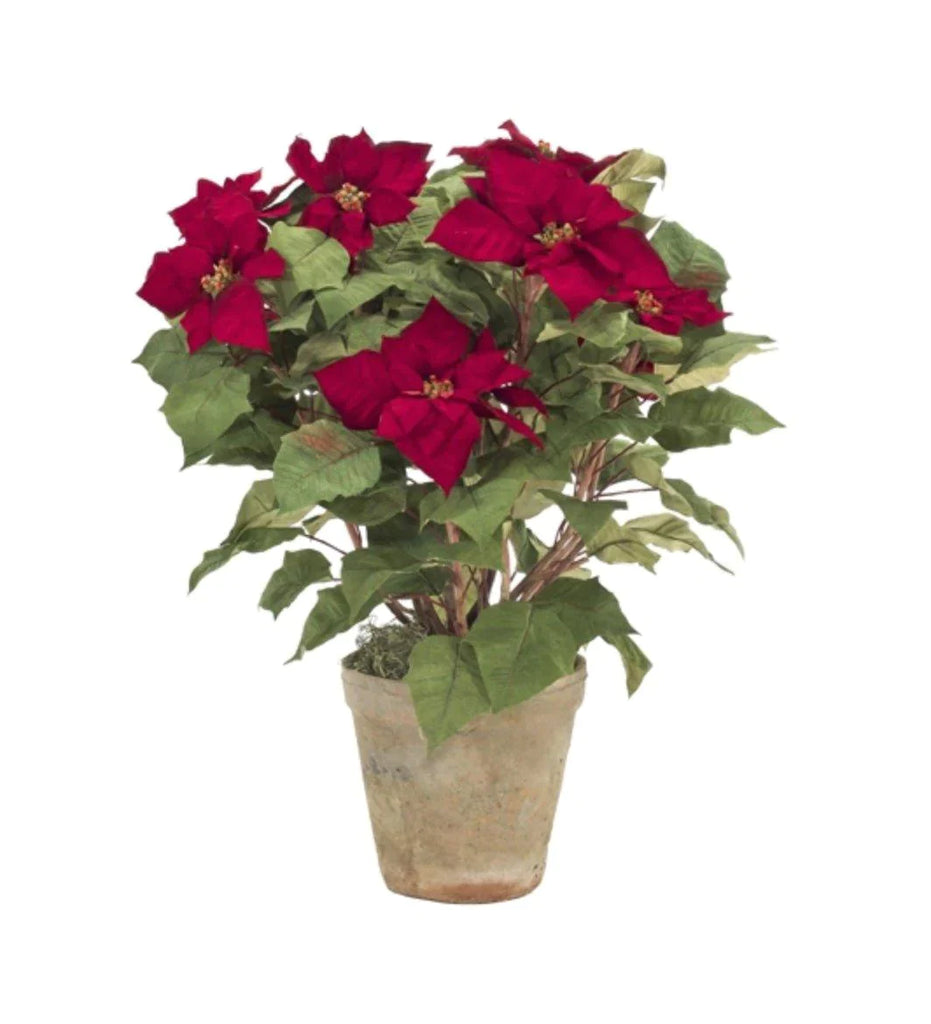 Classic Red Holiday Faux Poinsettia in a Mossed Terracotta Pot - Florals & Greenery - The Well Appointed House