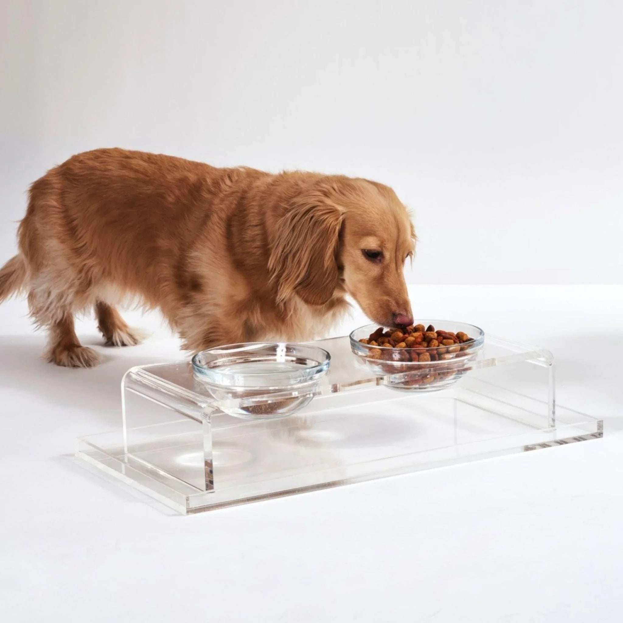 Medium Clear Double Pet Bowl Feeder with Silver Bowls by Hiddin Clear Home  Design