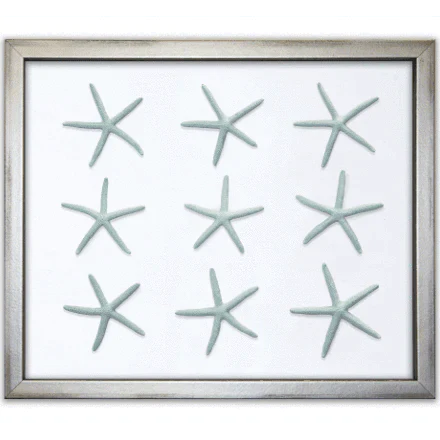 Coastal Blue Starfish on Silk Nautical Beach Framed Wall Art - Available in a Variety of Colors - Framed Objects, Maps & Posters - The Well Appointed House