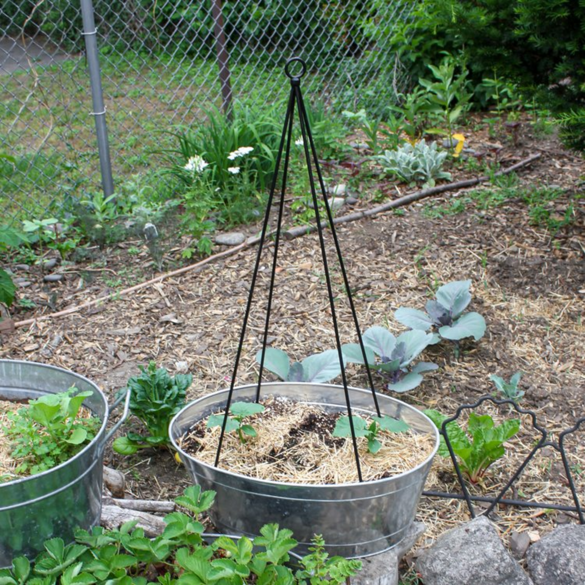 plant container with trellis Achla Container Trellis Pack of 2
