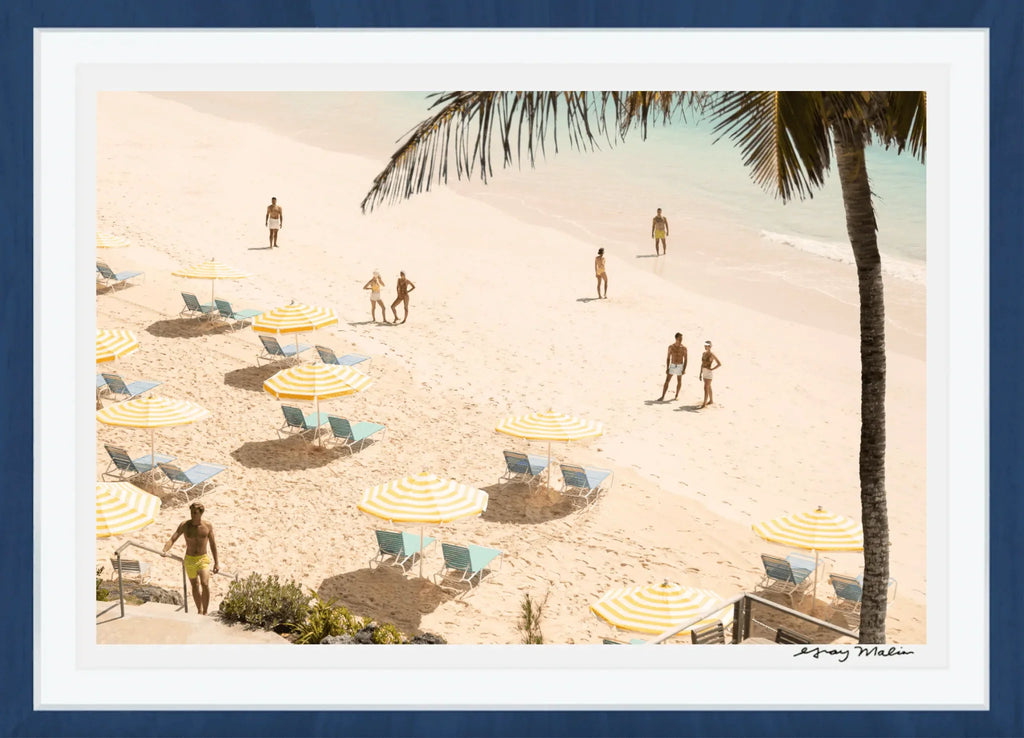 Coral Beach Club Print by Gray Malin - Photography - The Well Appointed House