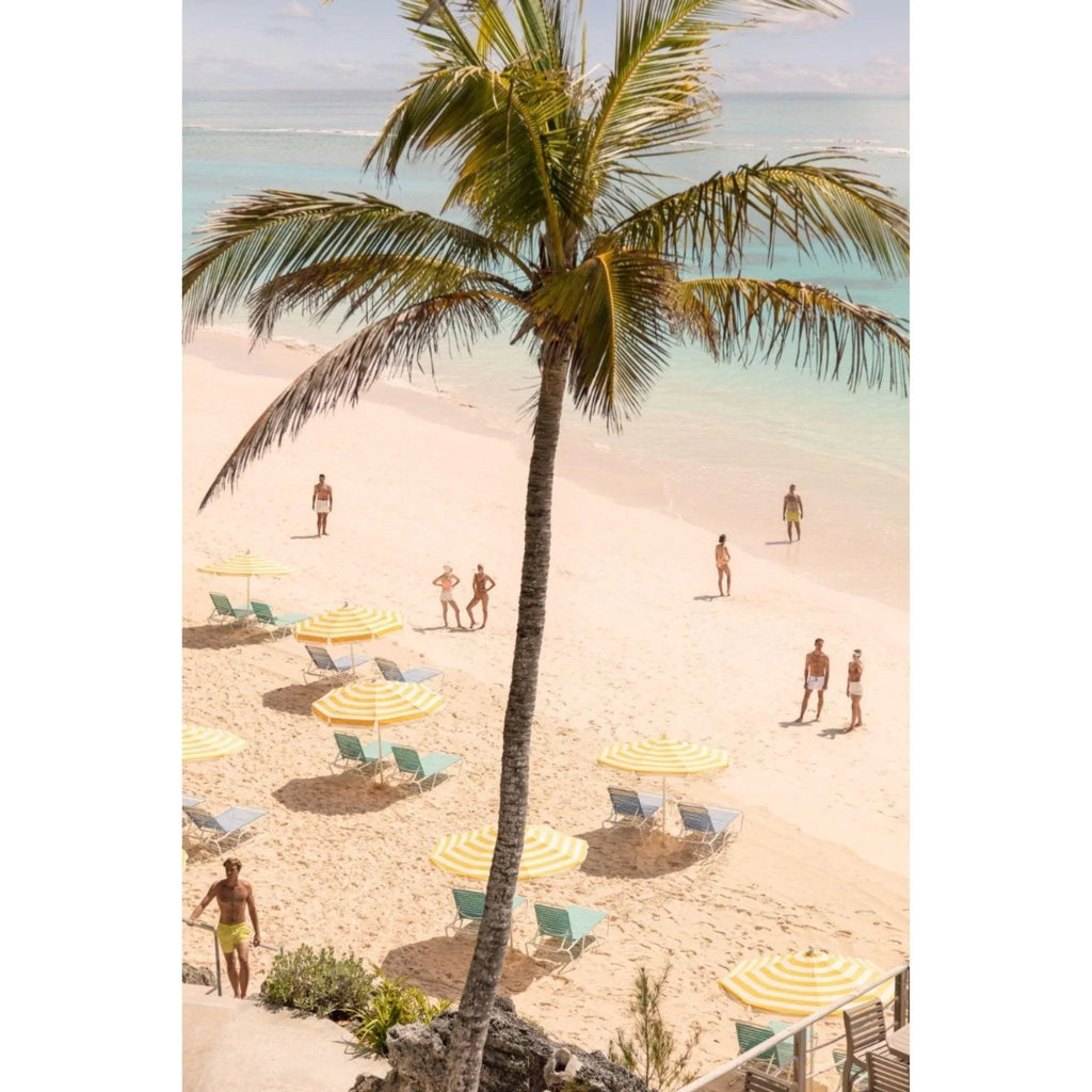 Coral Beach Club Vertical Print by Gray Malin - Photography - The Well Appointed House