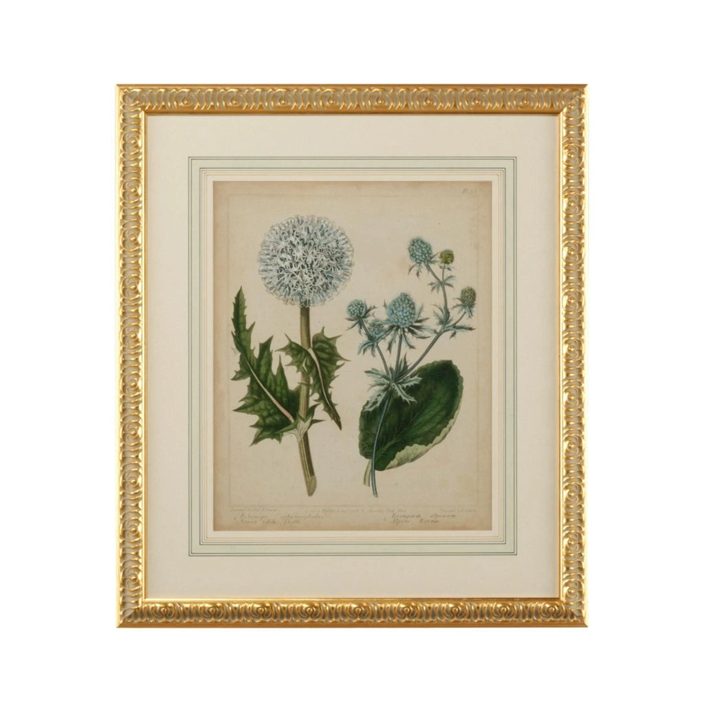 Cottage Botanical Florals III Framed Wall Art - Paintings - The Well Appointed House
