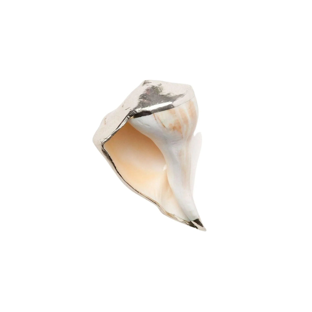Decorative Silver Whelk Shells - Decorative Objects - The Well Appointed House