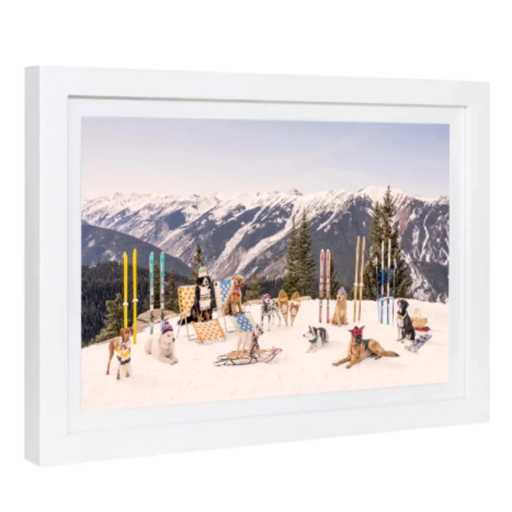 Dogs of Aspen Mini Framed Print by Gray Malin - Photography - The Well Appointed House