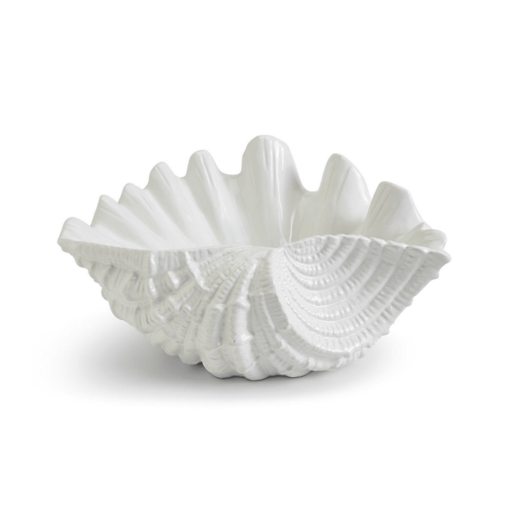 Dolomite Large Clam Shell Decorative Bowl – The Well Appointed House