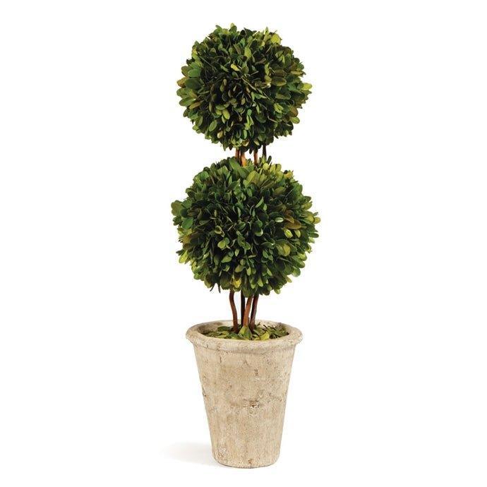 Double Sphere Boxwood Topiary - Florals & Greenery - The Well Appointed House