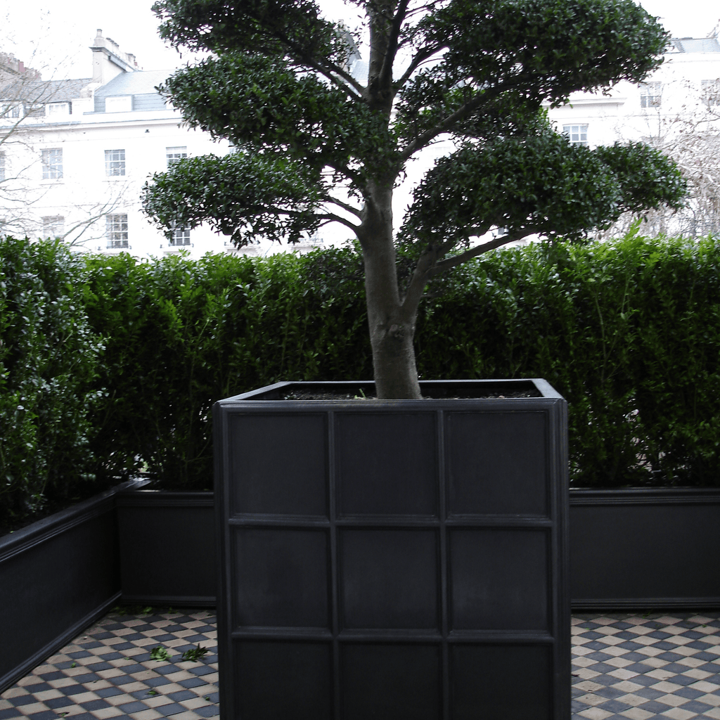 Downing Street Garden Planter - Outdoor Planters - The Well Appointed House