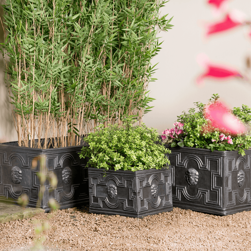Elizabethan Outdoor Square Garden Planter - Outdoor Planters - The Well Appointed House