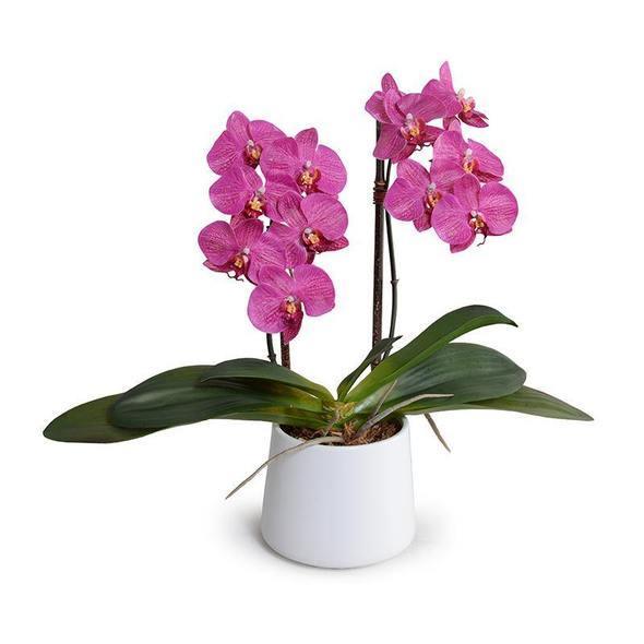 Faux 18" Fuchsia Phalaenopsis Orchid in White Ceramic Bowl - Florals & Greenery - The Well Appointed House