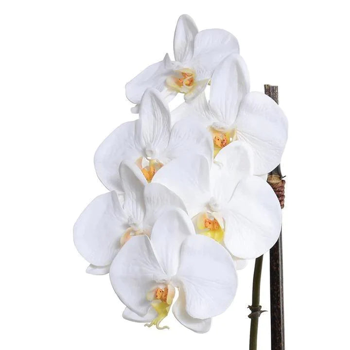 Faux 18" Phalaenopsis Orchids in White Ceramic Bowl - Florals & Greenery - The Well Appointed House