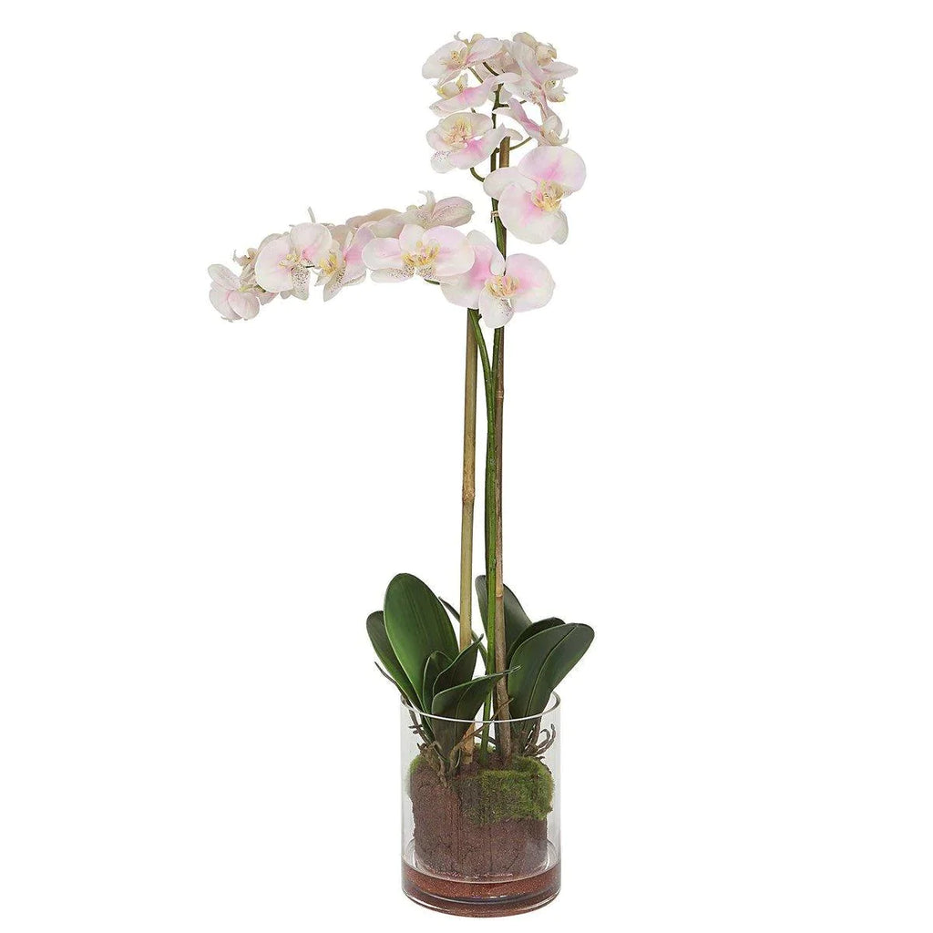 Faux Blush Orchid in Glass Bowl - Florals & Greenery - The Well Appointed House