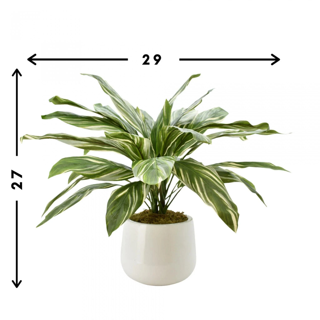 Faux Cordyline Plant in White Glossy Pot - Florals & Greenery - The Well Appointed House
