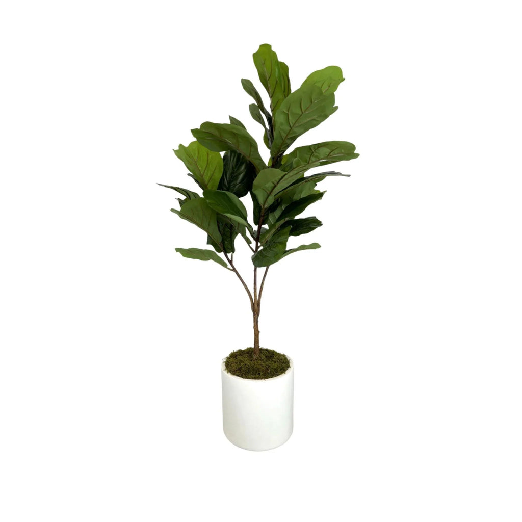 Faux Fiddle Leaf Tree - Florals & Greenery - The Well Appointed House