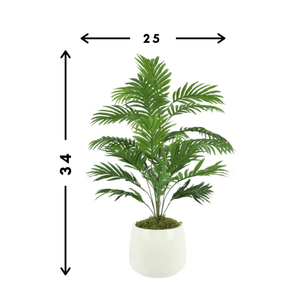 Faux Green Palm Tree in Round White Pot - Florals & Greenery - The Well Appointed House