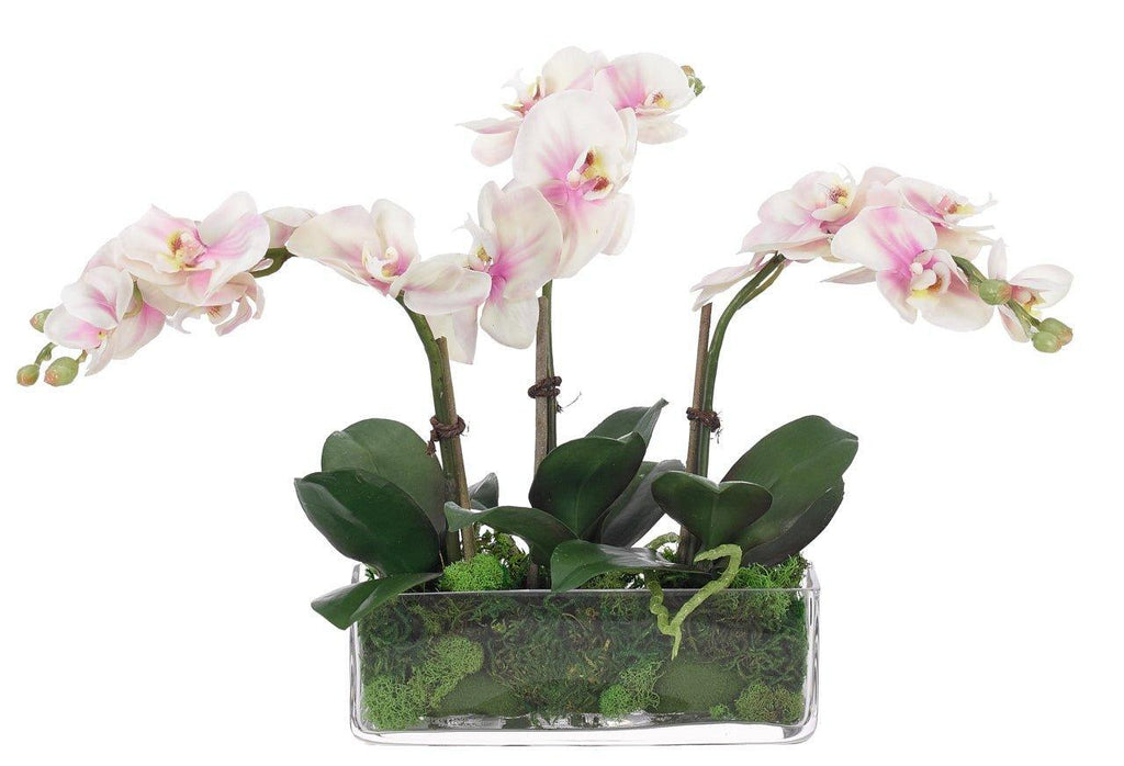 Faux Orchid Phalaenopsis Arrangement in Moss and Rectangular Glass Vase - Florals & Greenery - The Well Appointed House