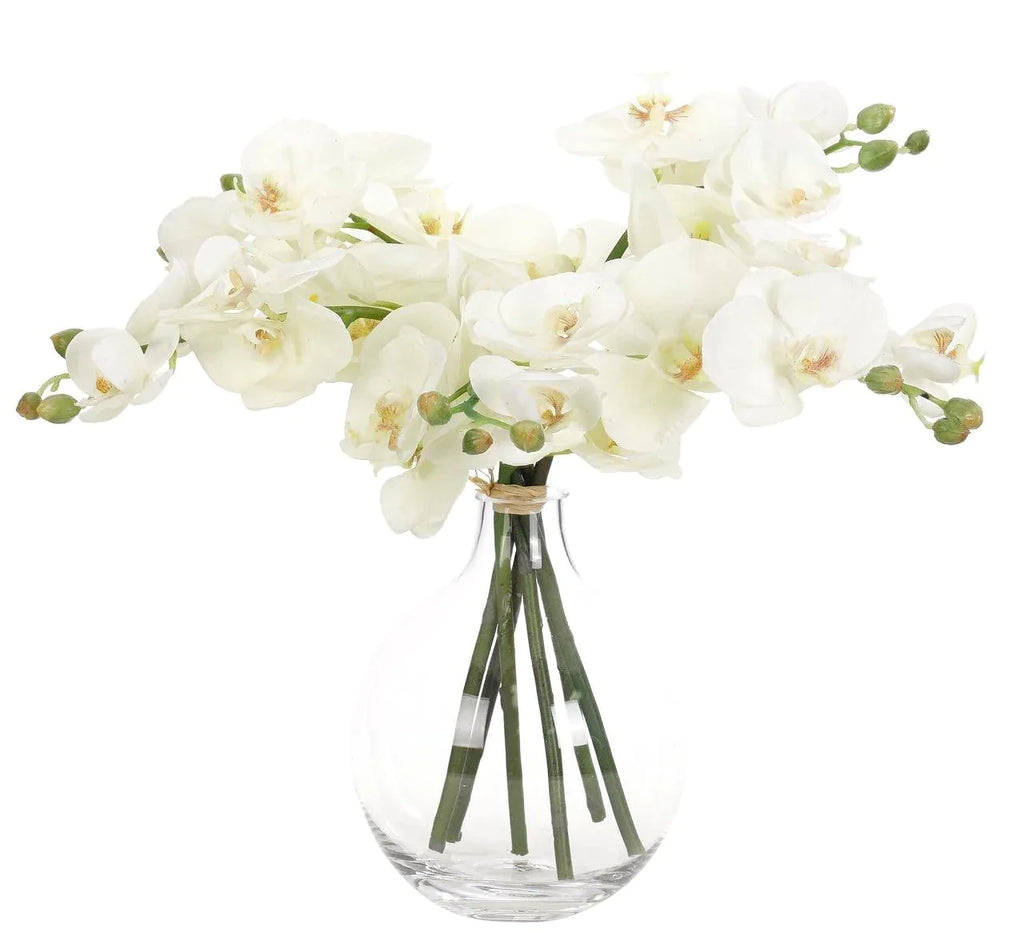 Faux White Orchid Phalaenopsis Arrangement in Glass Bubble Vase - Florals & Greenery - The Well Appointed House
