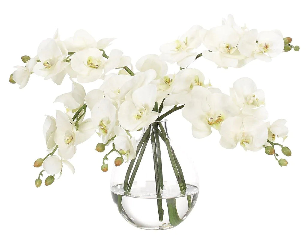 Faux White Orchid Phalaenopsis Arrangement in Glass Bubble Vase - Florals & Greenery - The Well Appointed House